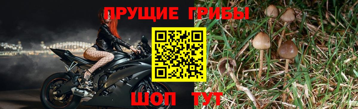 Горячий Ключ  Галлюциногенные грибы MAGIC MUSHROOMS  Вход с VPN 